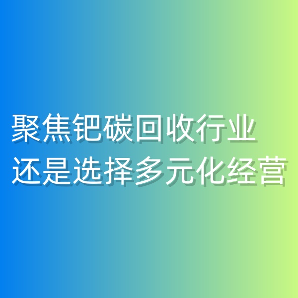 清辉钯碳回收日记550，聚焦钯碳回收行业,还是选择多元化经营